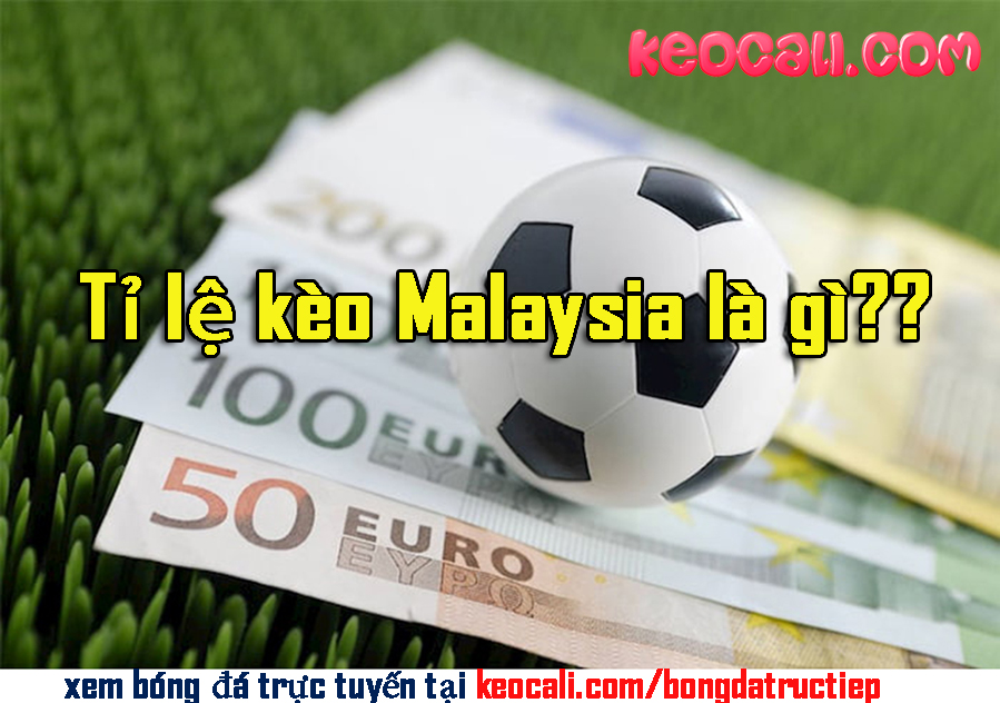 Tỉ lệ kèo Malaysia là gì? Cách đặt kèo Malaysia chi tiết