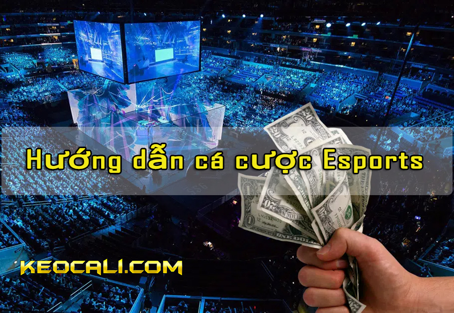 Chỉ dẫn cá cược esports ăn tiền an toàn thắng 100%