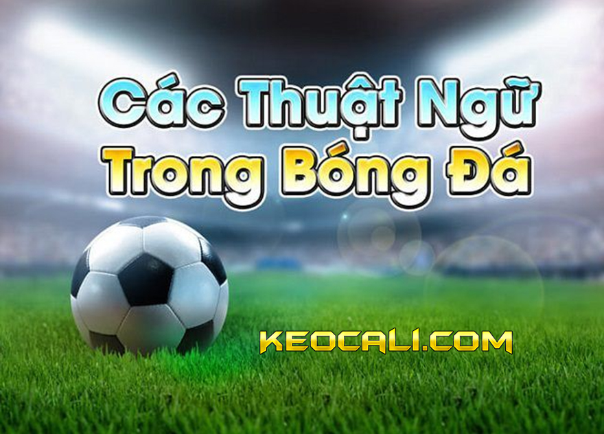 Tổng hợp các thuật ngữ trong cá độ bóng đá