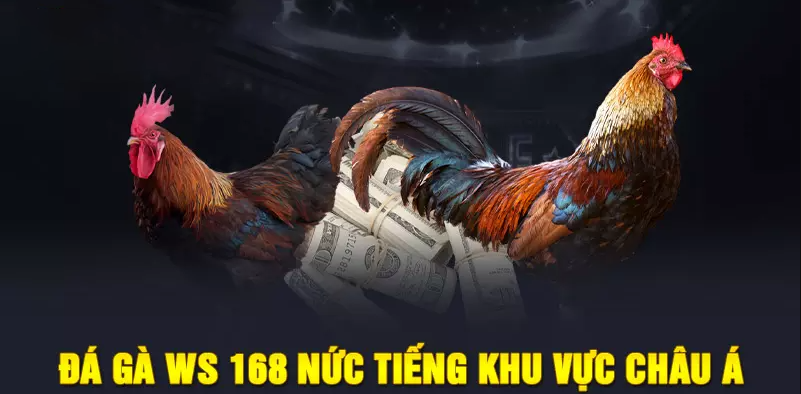 Đá gà WS168 - Sân chơi đá gà online chất lượng tại nhà cái Vegas79