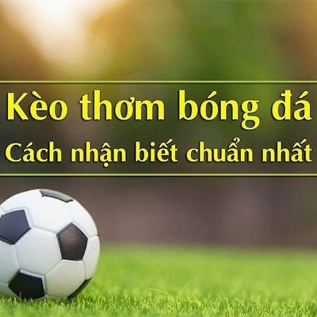 Tỷ lệ ăn quá cao: Khi nào là kèo thơm, khi nào là bẫy chết người?